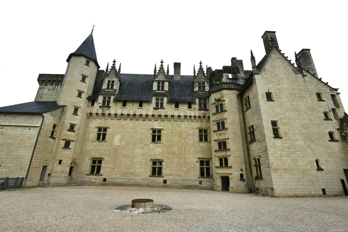 Castle Montsoreau / FRANCE 