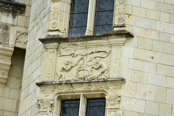 Castle Montsoreau / FRANCE 