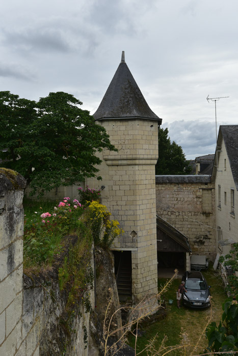 Castle Montsoreau / FRANCE 