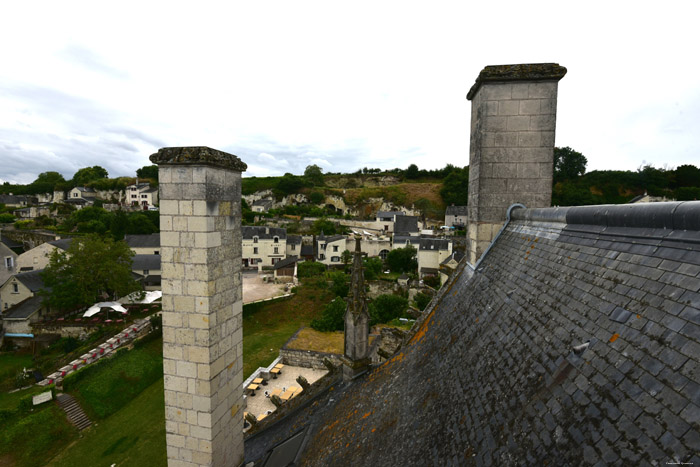 Castle Montsoreau / FRANCE 