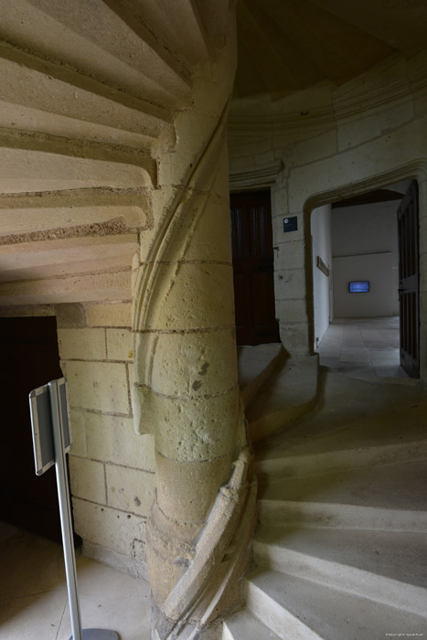 Castle Montsoreau / FRANCE 