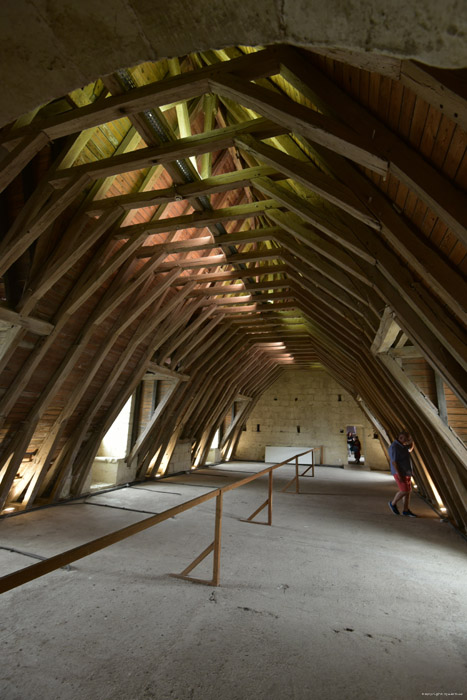 Castle Montsoreau / FRANCE 