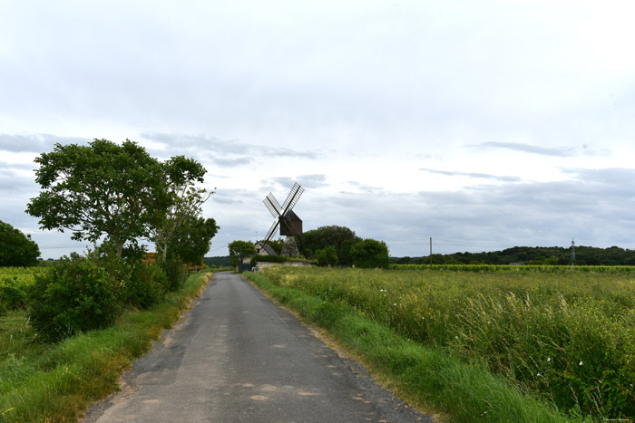 Molen van de Herpinire Turquant / FRANKRIJK 