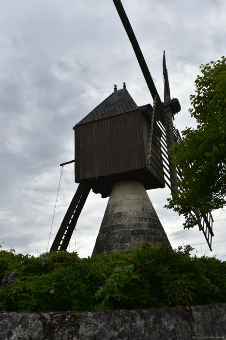 Moulin de la Herpinire Turquant / FRANCE 