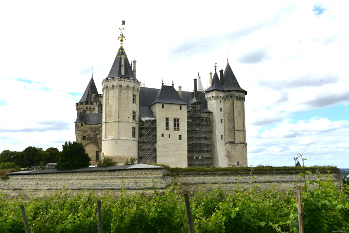 Castle Saumur / FRANCE 