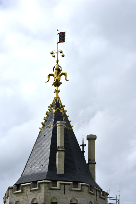 Castle Saumur / FRANCE 