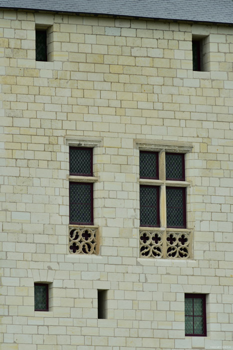 Castle Saumur / FRANCE 