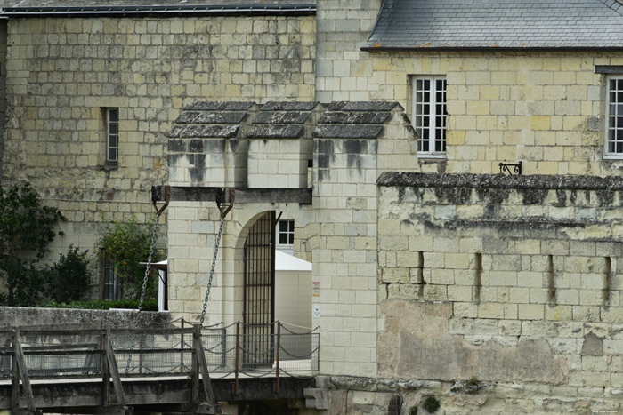 Castle Saumur / FRANCE 