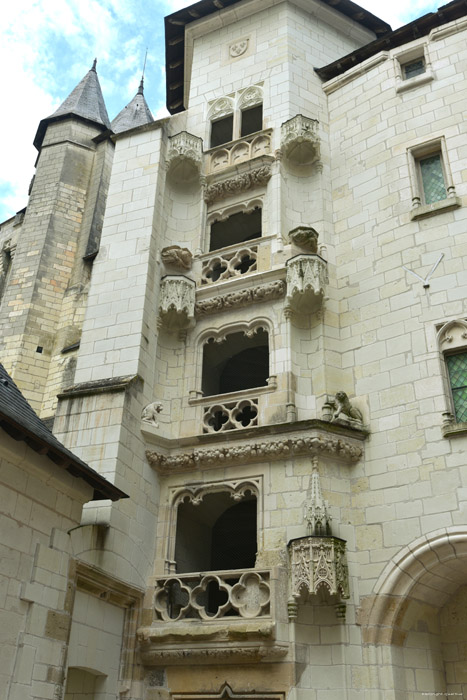 Castle Saumur / FRANCE 