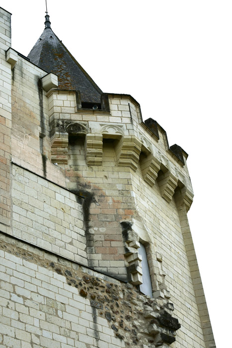 Castle Saumur / FRANCE 