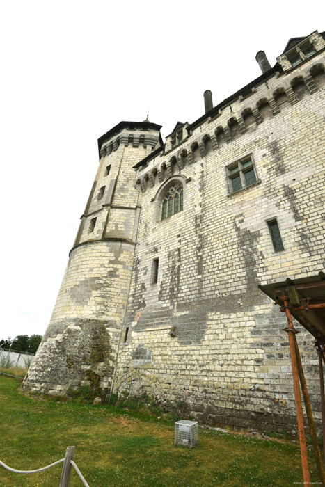 Castle Saumur / FRANCE 