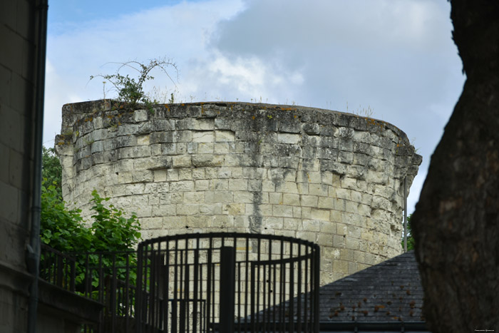 Graantoren (Tour Grainetire) Saumur / FRANKRIJK 