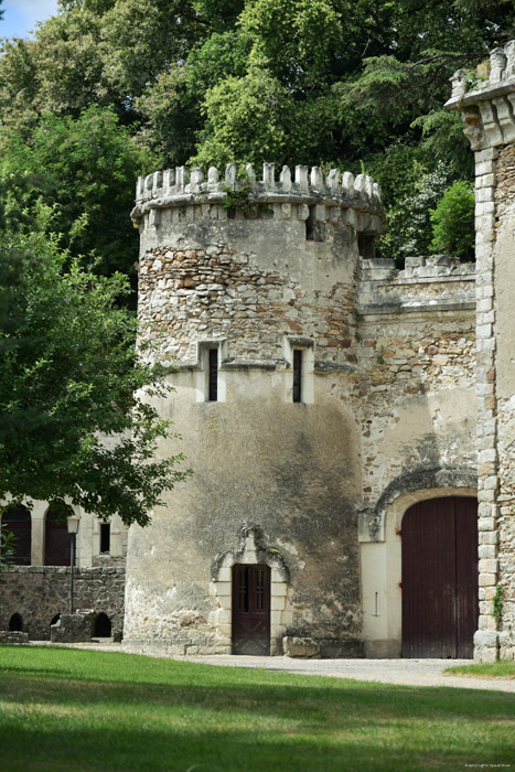 Cunault Castle Chnehutte-Trves-Cunault / FRANCE 