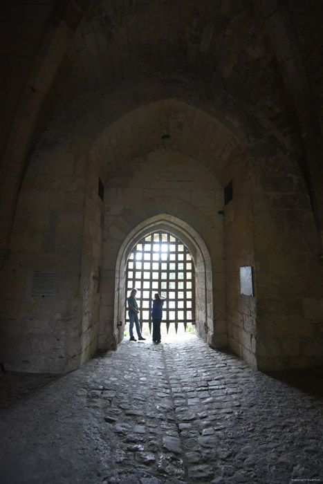 Castle Ruins Angers / FRANCE 