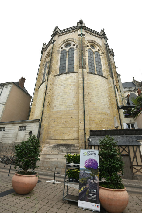 Sint-Mauritskathedraal Angers / FRANKRIJK 