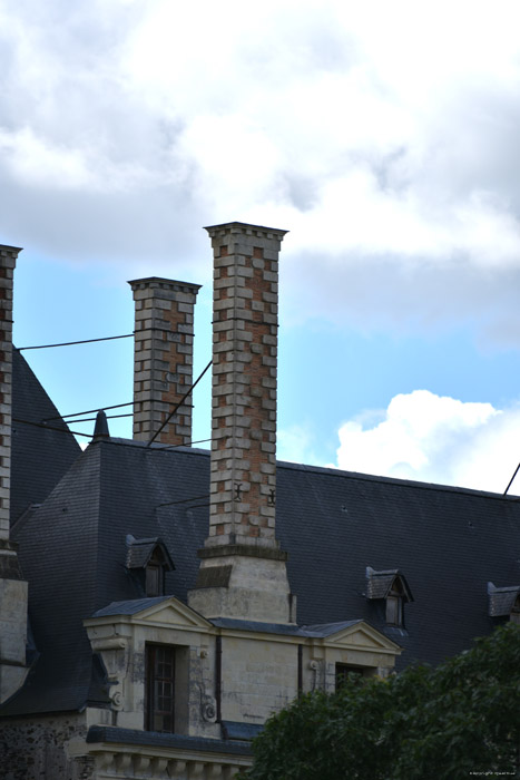 Castle Brissac-Quinc / FRANCE 