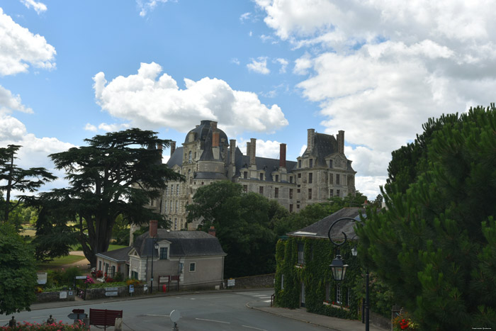 Castle Brissac-Quinc / FRANCE 