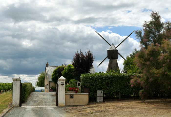 Pinsonnery Mill Faye d'Anjou / FRANCE 