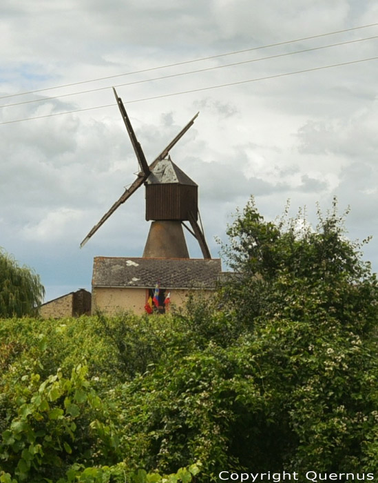 Molen van de Pinsonnerie Faye d'Anjou / FRANKRIJK 