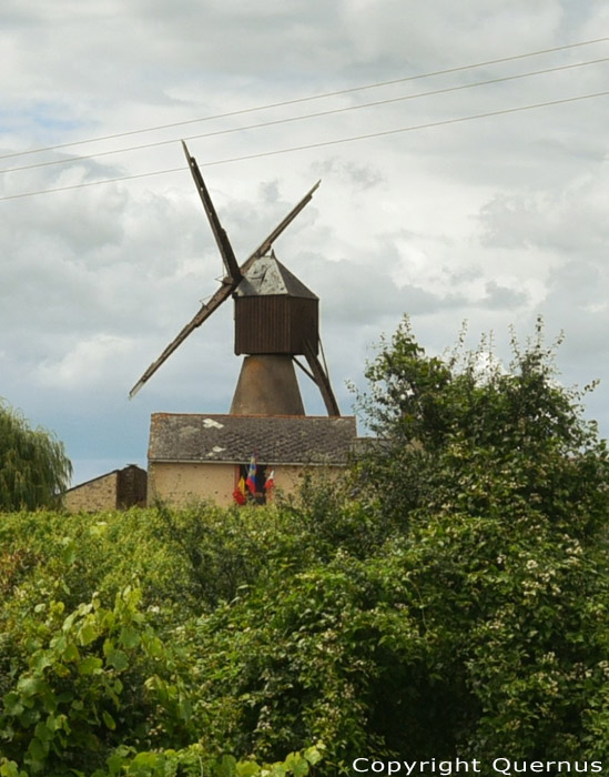 Moulin de la Pinsonnerie Faye d'Anjou / FRANCE 