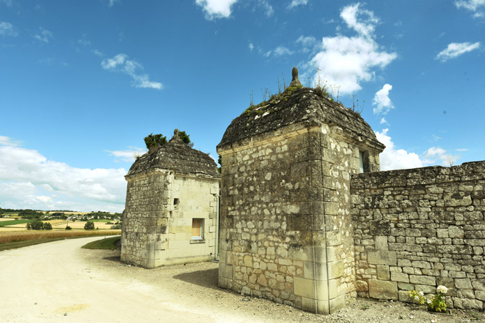 Coudray Montpensier Castle Chinon / FRANCE 