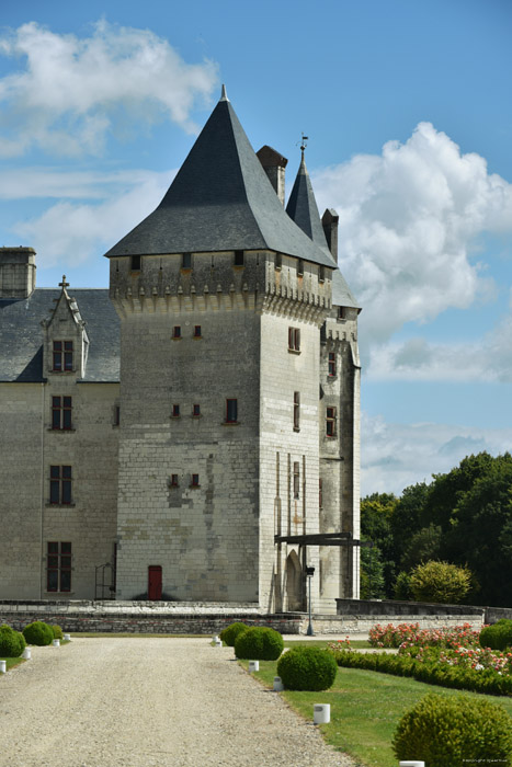 Kasteel van Coudray Montpensier Chinon / FRANKRIJK 