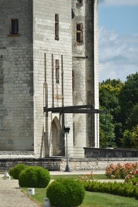 Château de Coudray Montpensier Chinon / FRANCE 