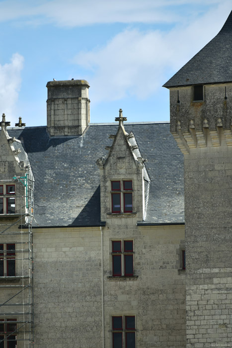 Kasteel van Coudray Montpensier Chinon / FRANKRIJK 