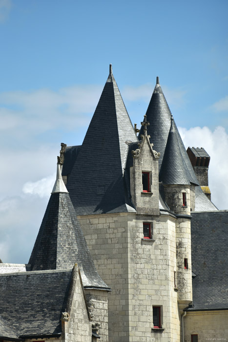 Château de Coudray Montpensier Chinon / FRANCE 