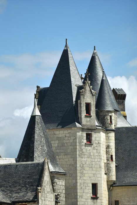 Coudray Montpensier Castle Chinon / FRANCE 