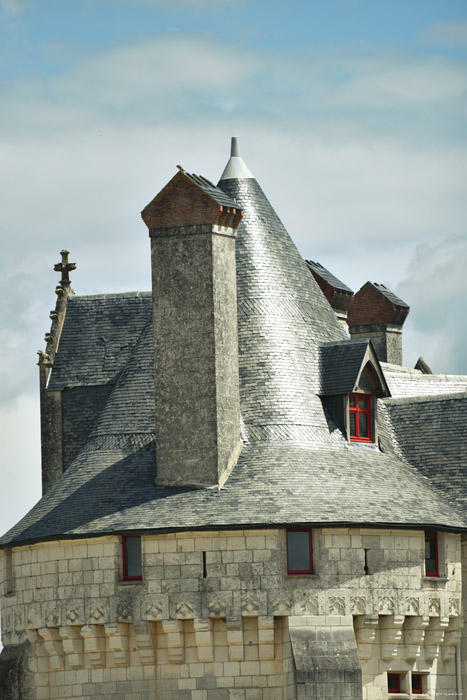 Coudray Montpensier Castle Chinon / FRANCE 