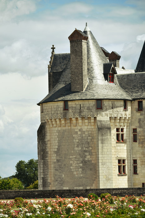 Kasteel van Coudray Montpensier Chinon / FRANKRIJK 