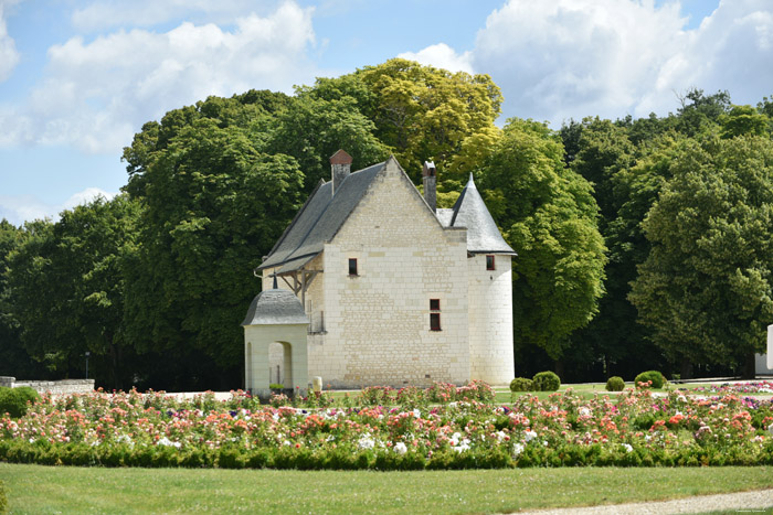 Coudray Montpensier Castle Chinon / FRANCE 