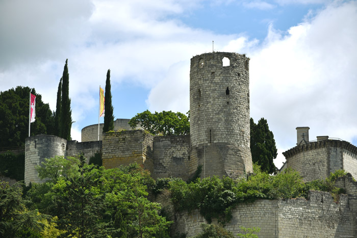 Koninklijke Burcht Chinon / FRANKRIJK 