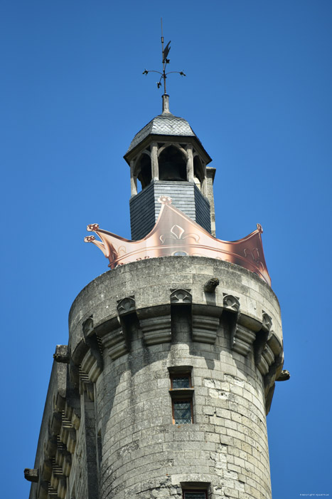 Koninklijke Burcht Chinon / FRANKRIJK 