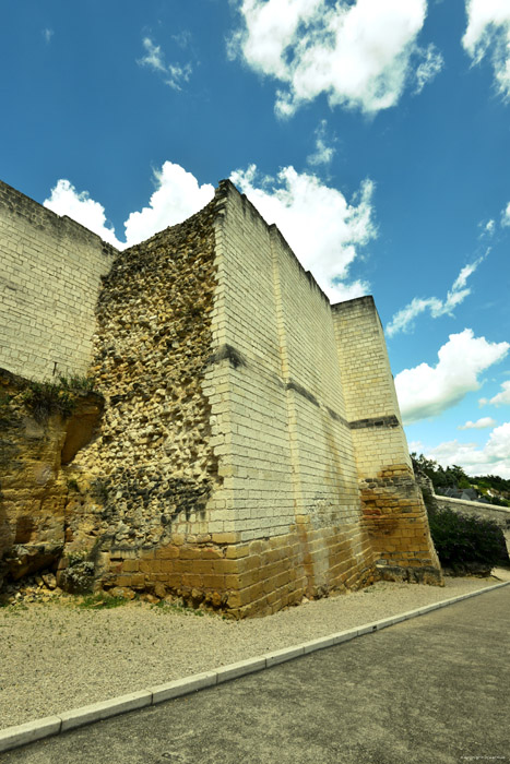 Koninklijke Burcht Chinon / FRANKRIJK 