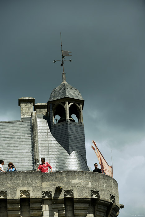 Koninklijke Burcht Chinon / FRANKRIJK 