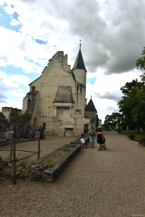 Koninklijke Burcht Chinon / FRANKRIJK 