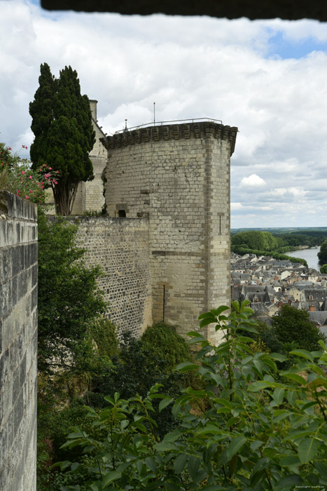 Koninklijke Burcht Chinon / FRANKRIJK 