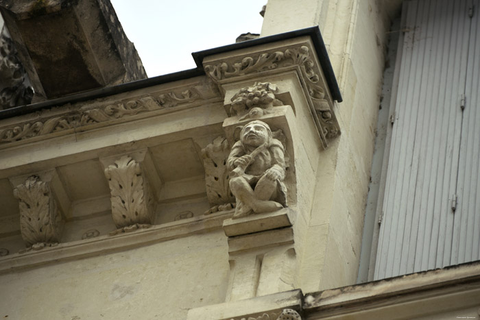 House Chinon / FRANCE 