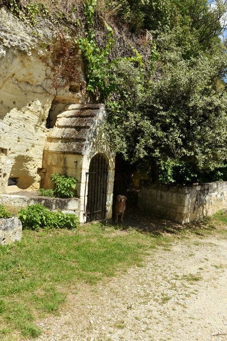 Ruines Maisons de Rochers Chinon / FRANCE 