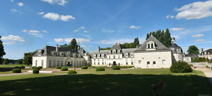 Castle Champigny-sur-Veude / FRANCE 