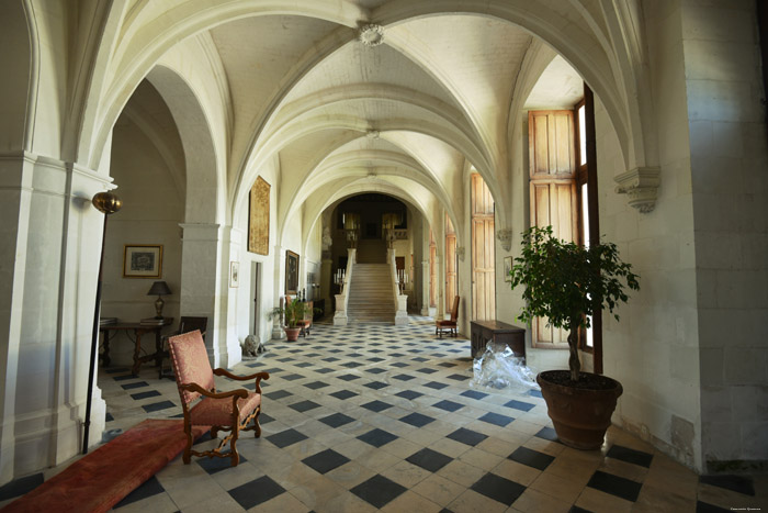 Castle Champigny-sur-Veude / FRANCE 