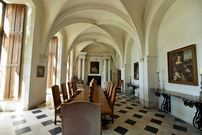 Kasteel Champigny-sur-Veude / FRANKRIJK 