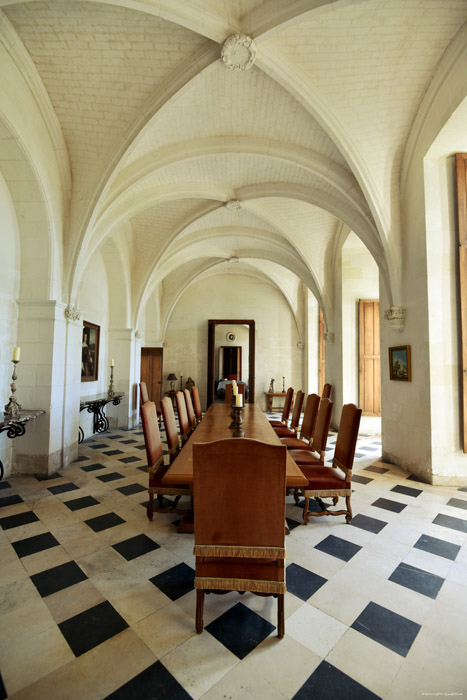 Castle Champigny-sur-Veude / FRANCE 