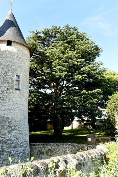 Rivau Castle  