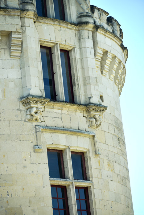 Breze Castle Brz / FRANCE 