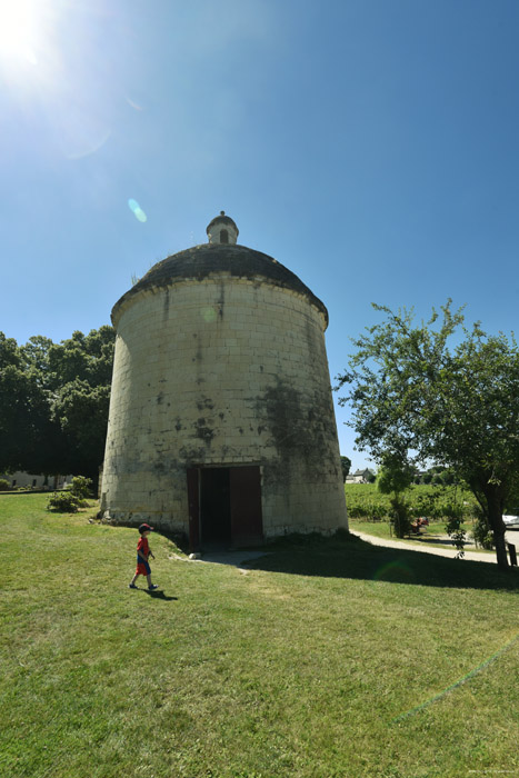 Breze Castle Brz / FRANCE 