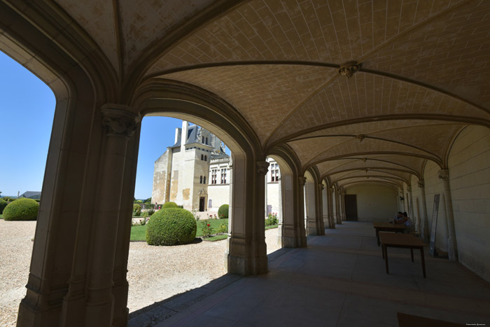 Château de Breze Brz / FRANCE 