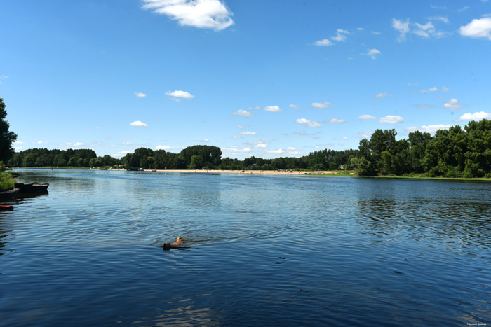 Vienne Rivier Candes-Saint-Martin / FRANKRIJK 